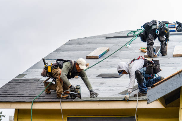 Professional Storm Damage Roof Repair technician working in Wellington, TX